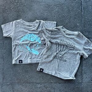 Bundle of toddler Hawaii themed T-shirts